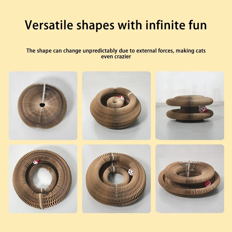 cat scratching board