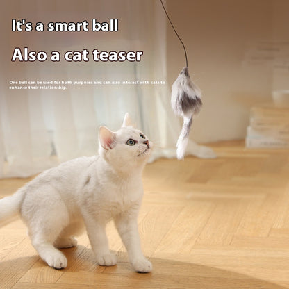 Cat Toys Mouse Teaser