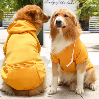Dog Winter Hoodie