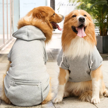 Dog Winter Hoodie