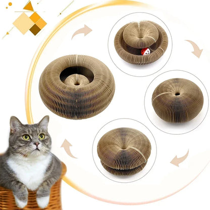 cat scratching board