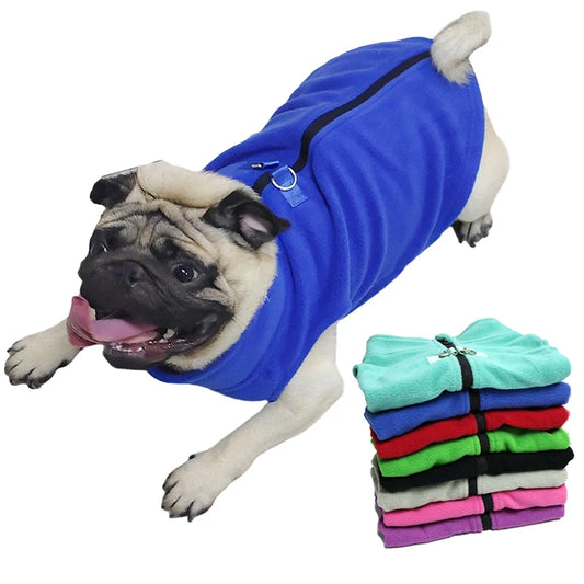 Jacket French Bulldog Coat