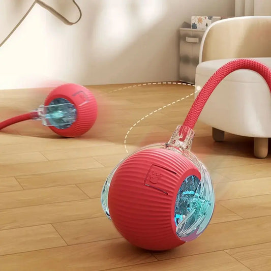 Cat Interactive Ball Toy Automatic