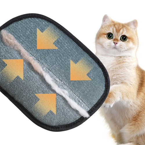Gloves Hair Remover Brush