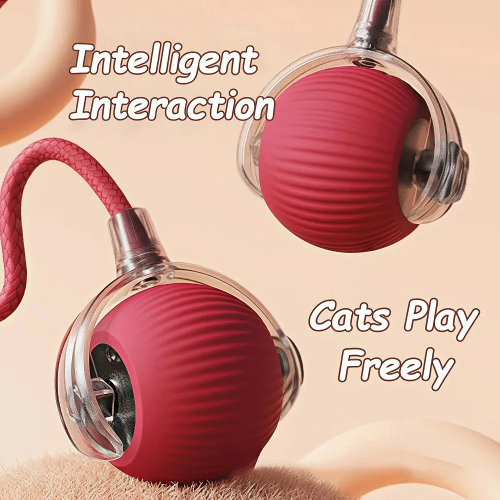 Cat Interactive Ball Toy Automatic