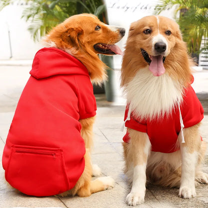 Dog Winter Hoodie
