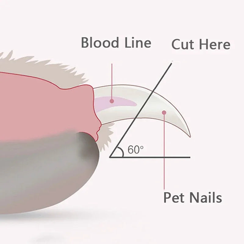 Professional Pet Nail Clippers – LED‑Lit Grooming