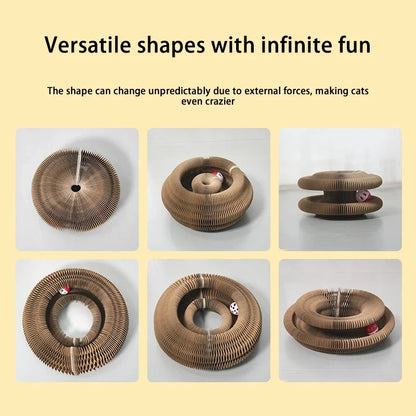 cat scratching board