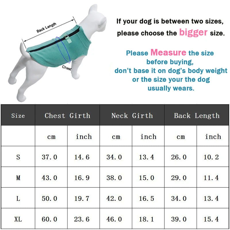 Jacket French Bulldog Coat