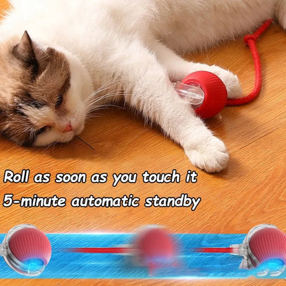Cat Interactive Ball Toy Automatic