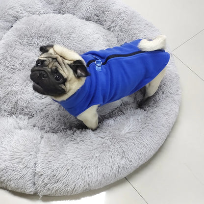 Jacket French Bulldog Coat