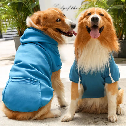 Dog Winter Hoodie