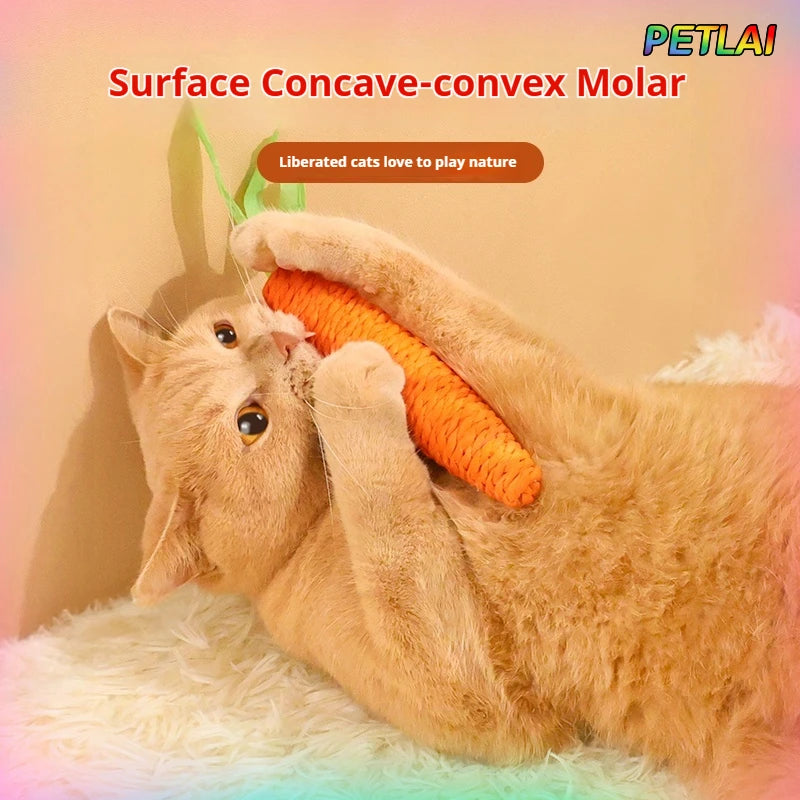 Cat Carrot toy teeth grinding