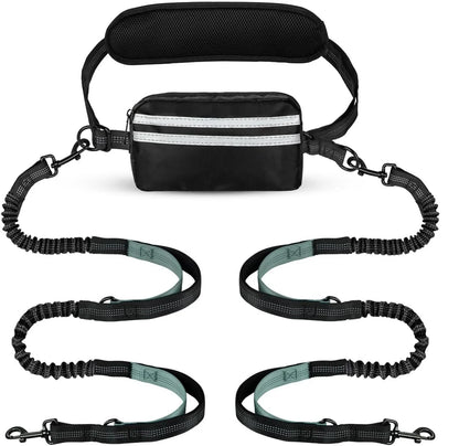 Hands Free Dog Leash with Pouch, Double Leash for Two Dogs, Retractable Bungee with Double Padded Handles, Dog harness