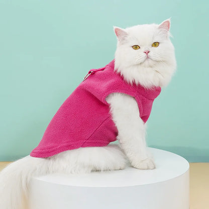 Autumn and Winter Vest