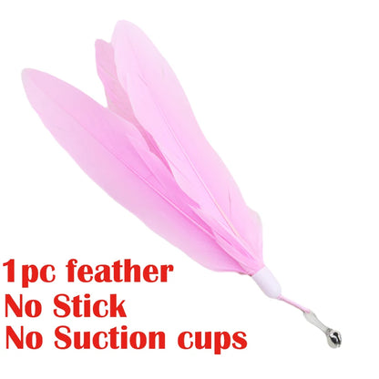 Interactive Cat Toy Handfree Cat Stick Kitten Playing Teaser Wand Toy Suction Cup Feather Wand Pet Supplies Simulation Feather
