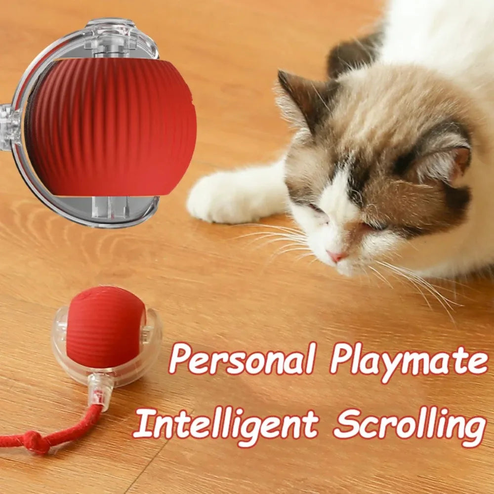 Cat Interactive Ball Toy Automatic