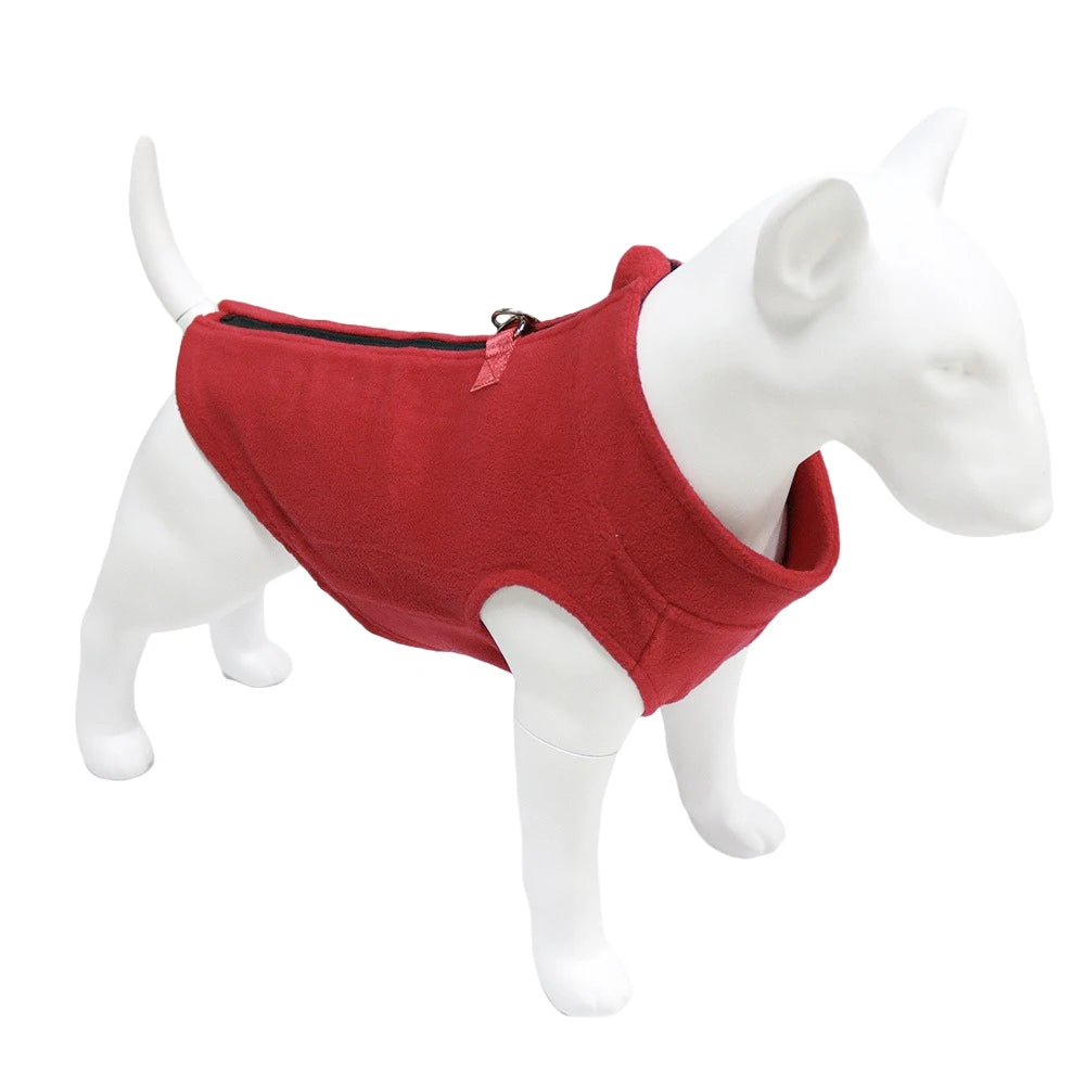 Jacket French Bulldog Coat