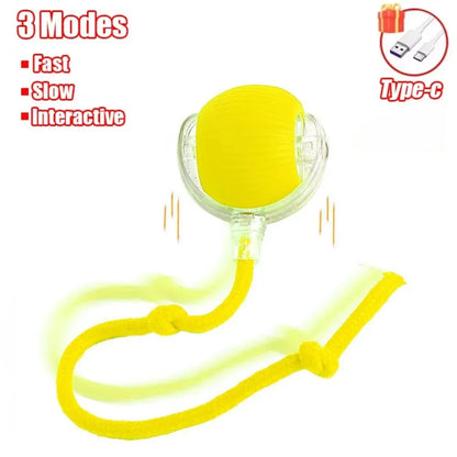 Cat Interactive Ball Toy Automatic