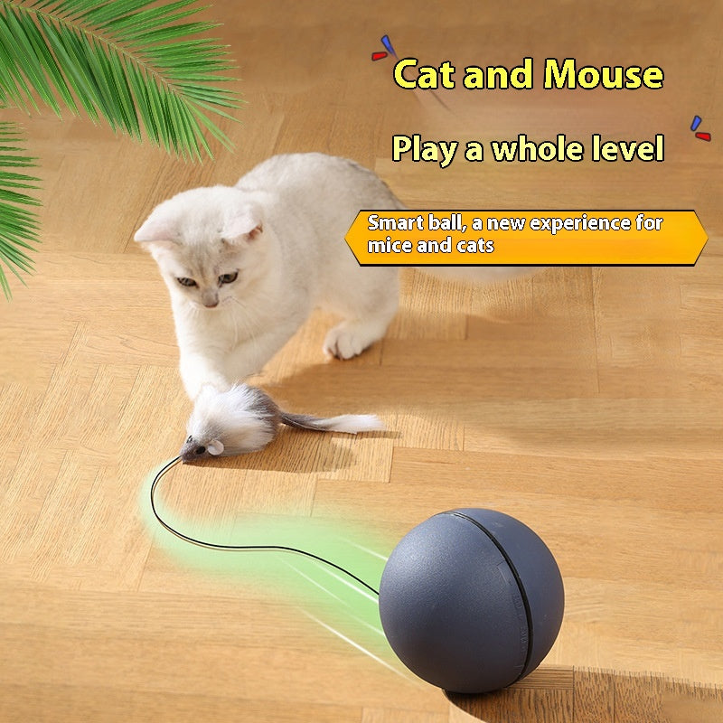Cat Toys Mouse Teaser