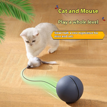 Cat Toys Mouse Teaser