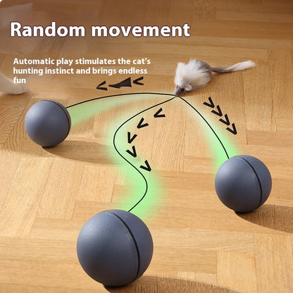 Cat Toys Mouse Teaser